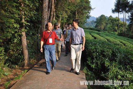 全国著名作家诗人来恩施市采风