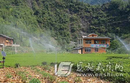 恩施州各县市多举措抗旱